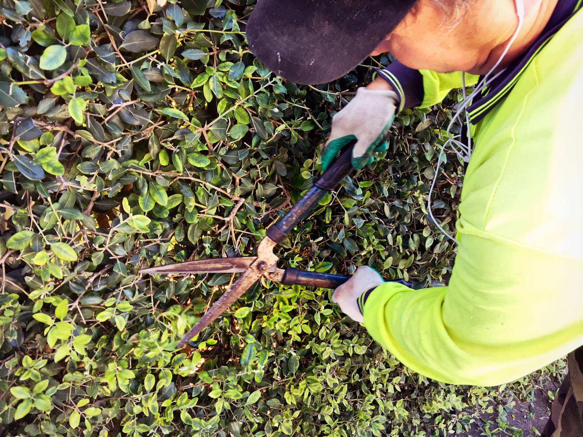 Se simplifier la vie durant le jardinage